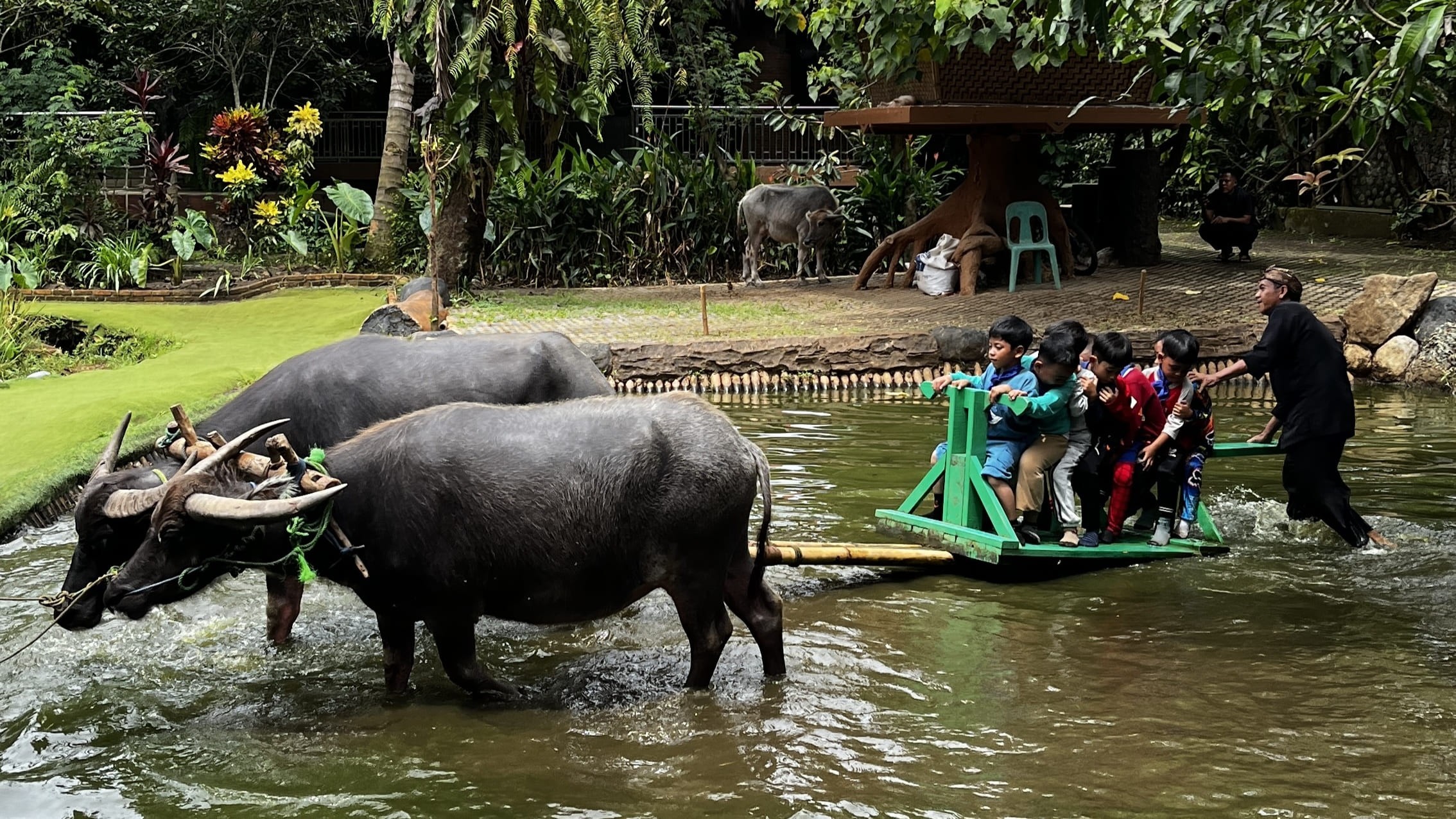 Outbound Edukatif di Kampung Pelita Ciseeng, Bikin Anak Ketagihan